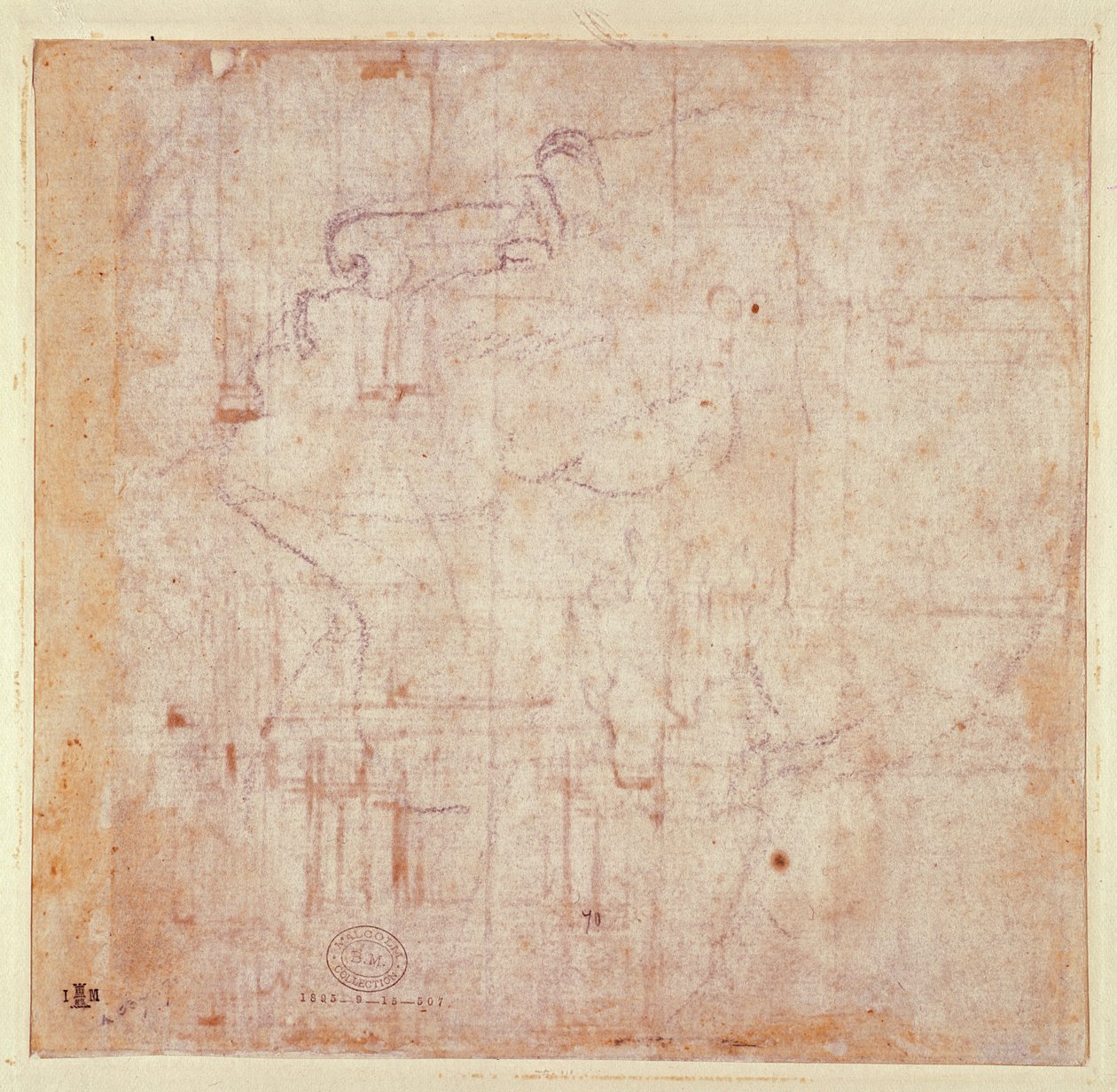 Estudo de uma cabeça, 1525-26 (giz preto sobre papel) (verso) (para reto ver 191779) de Michelangelo Buonarroti