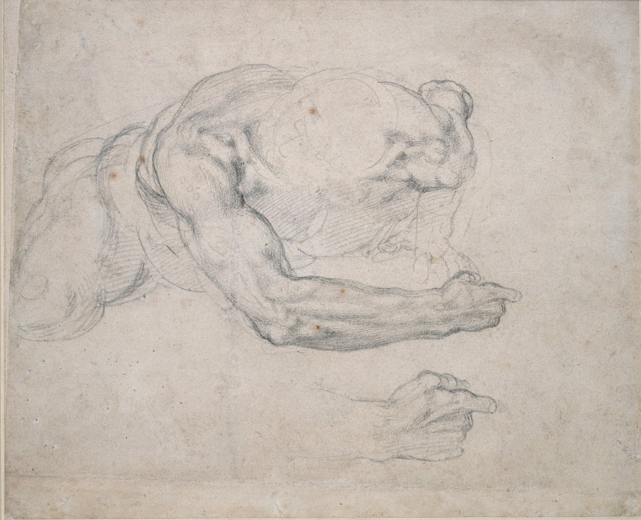 Estudo de um homem subindo do chão, século 16 de Michelangelo Buonarroti