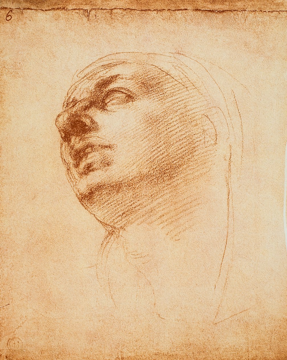 Estudo de um rosto, desenho de Michelangelo. Casa Buonarroti, Florença de Michelangelo Buonarroti