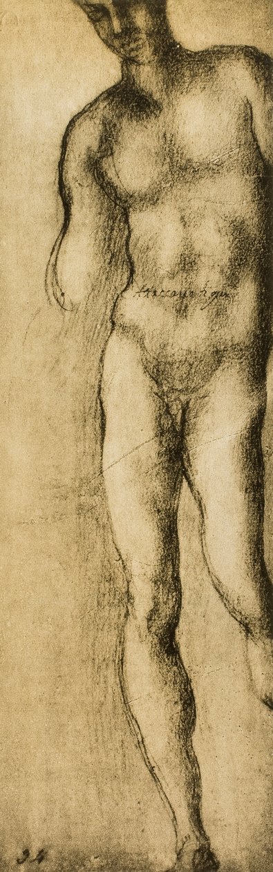 Estudo de uma figura masculina, desenho de Michelangelo. Casa Buonarroti, Florença de Michelangelo Buonarroti