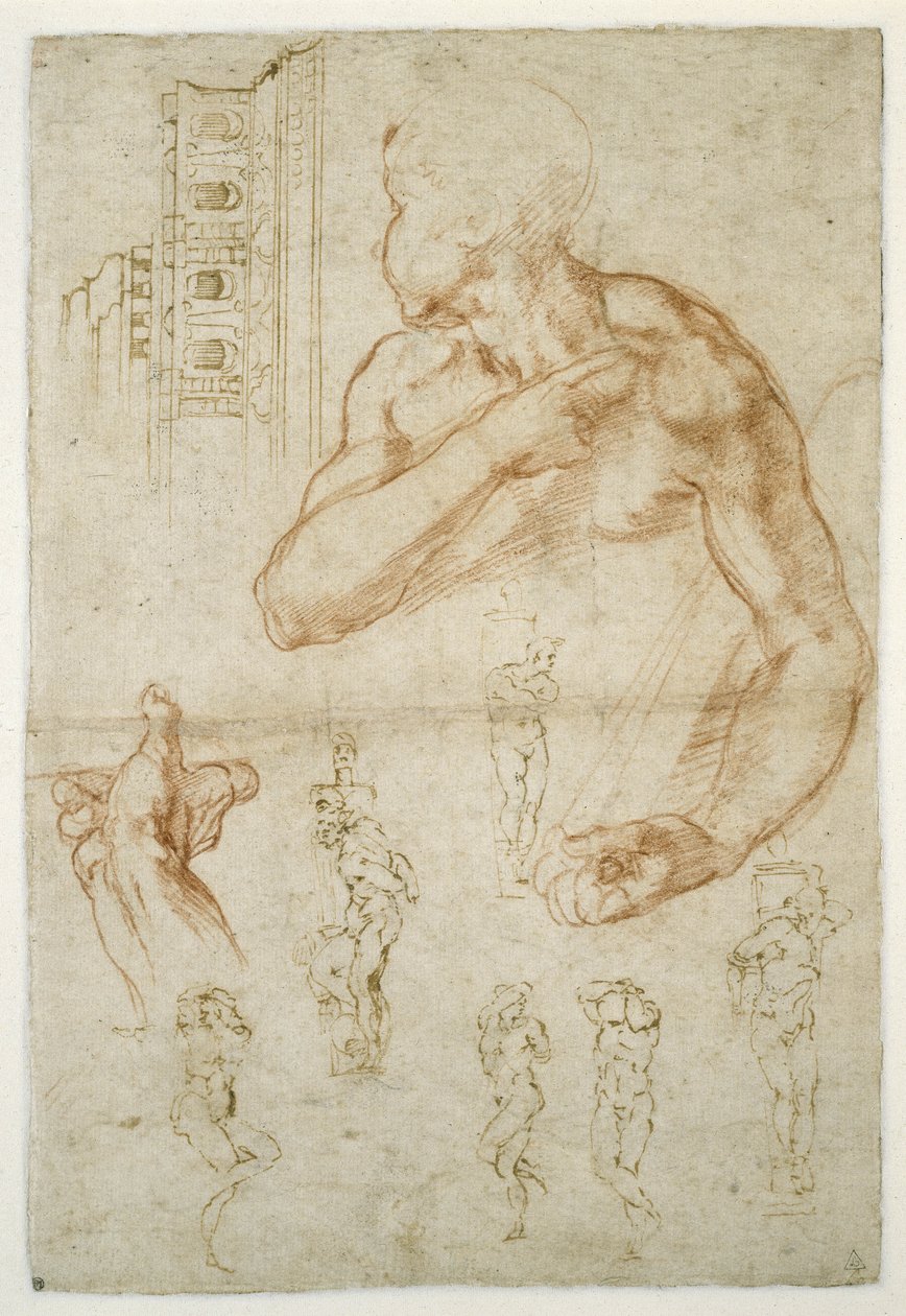 Estudo da figura assistencial da Sibila da Líbia, c.1512 (giz vermelho e caneta sobre papel) de Michelangelo Buonarroti