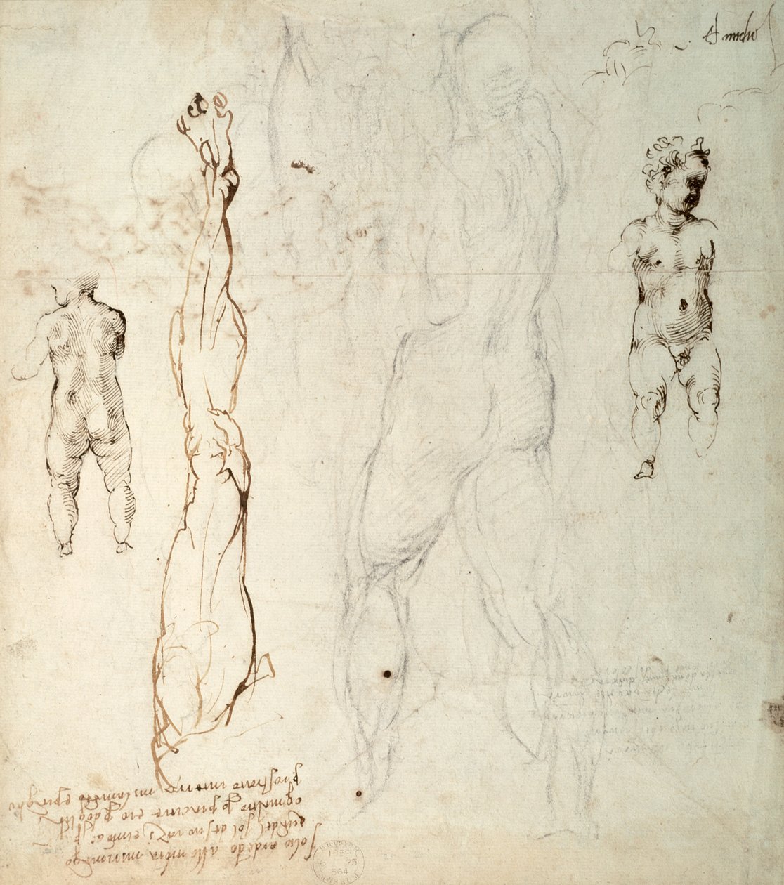 Estudo do Menino Jesus e Desenho Anatômico com Notas (giz preto e tinta marrom sobre papel) (verso) de Michelangelo Buonarroti
