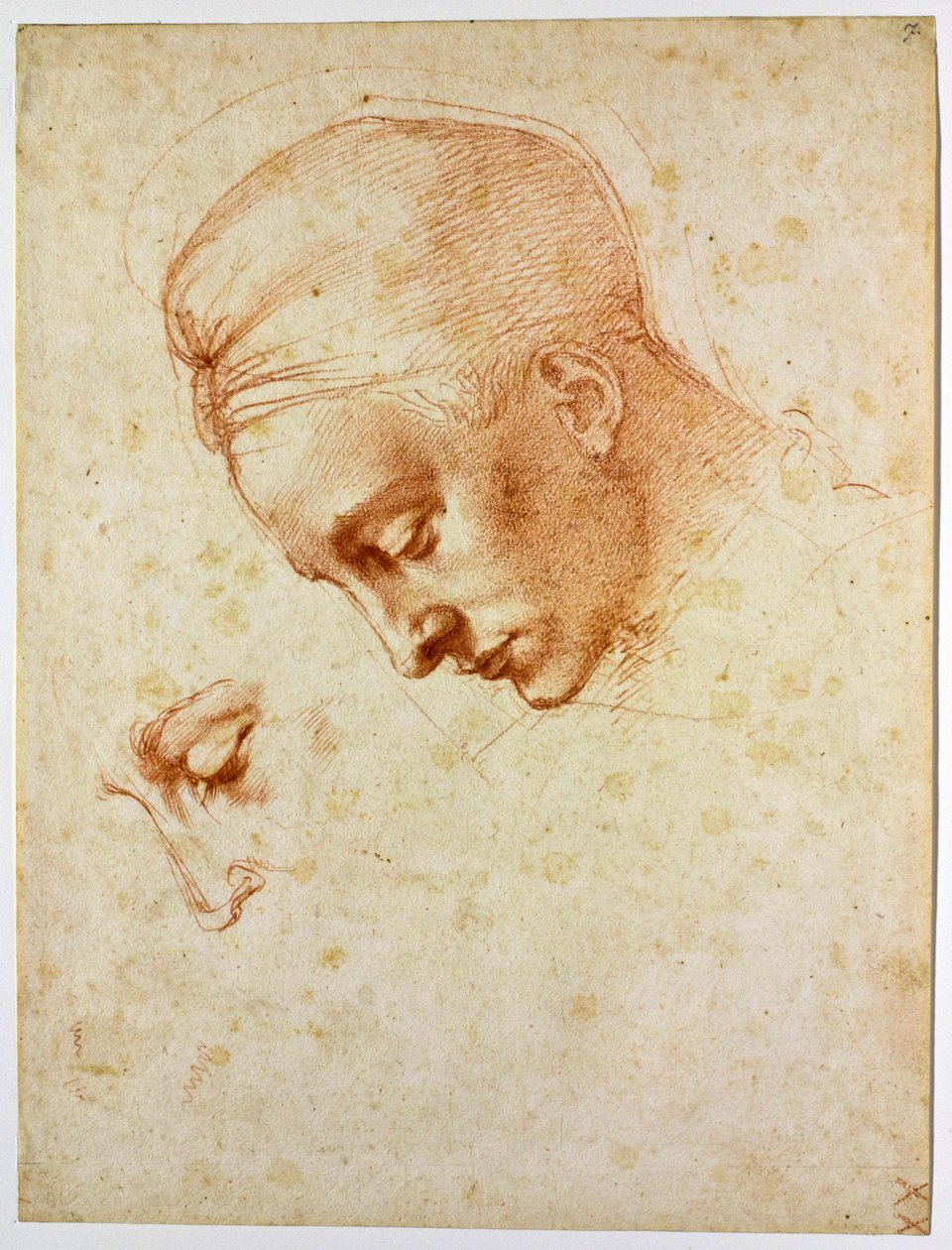 Estudo para a cabeça de Leda, ca 1530 de Michelangelo Buonarroti