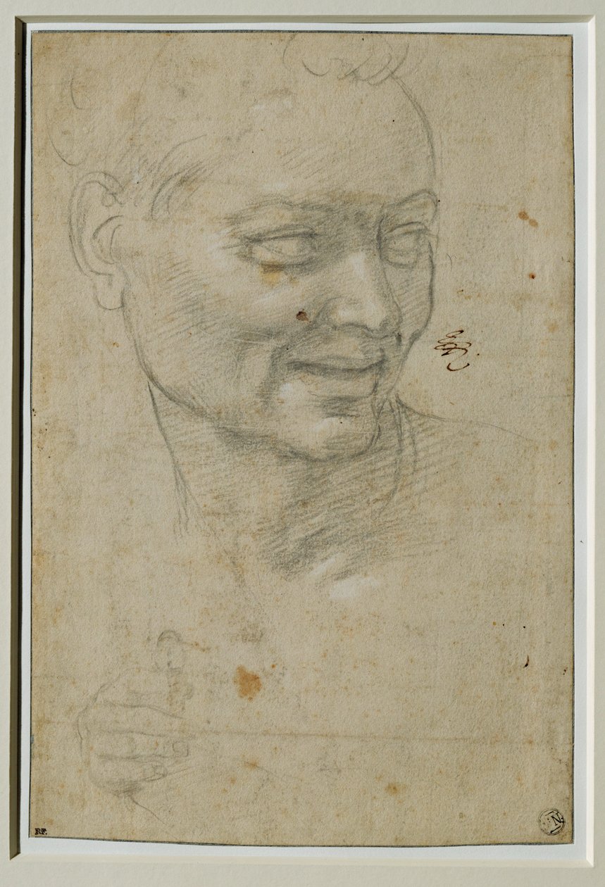 Cabeça e mão direita do ignudo acima e à esquerda de Isaías, na abóbada da Capella Sistina ... de Michelangelo Buonarroti