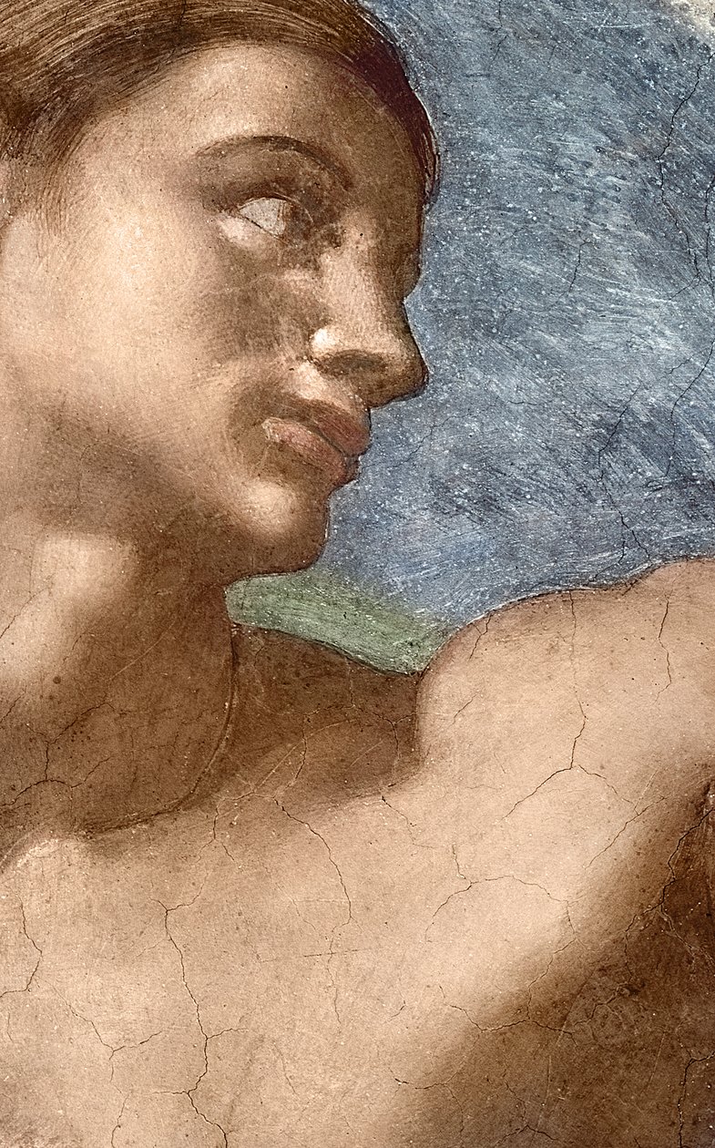 A Criação de Adão, detalhe da cabeça de Adão de Michelangelo Buonarroti