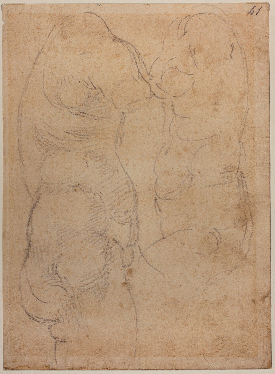 Dois estudos de um Vénus antigo de Michelangelo Buonarroti