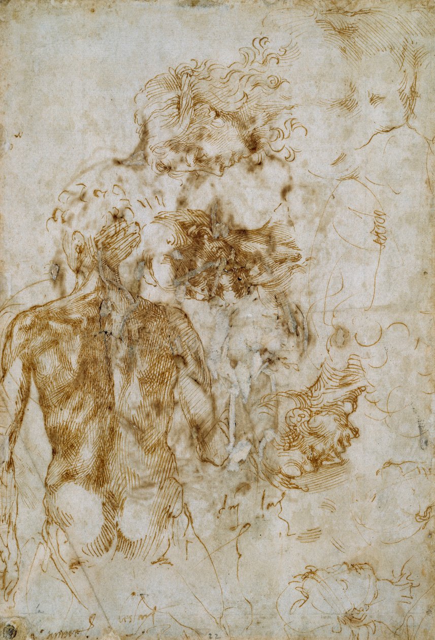 Vários estudos de figuras, c1490-1560 de Michelangelo Buonarroti
