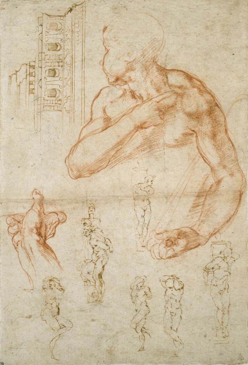 Vários estudos para o teto da Sistina e o túmulo do papa Júlio II, c1490-1560 de Michelangelo Buonarroti