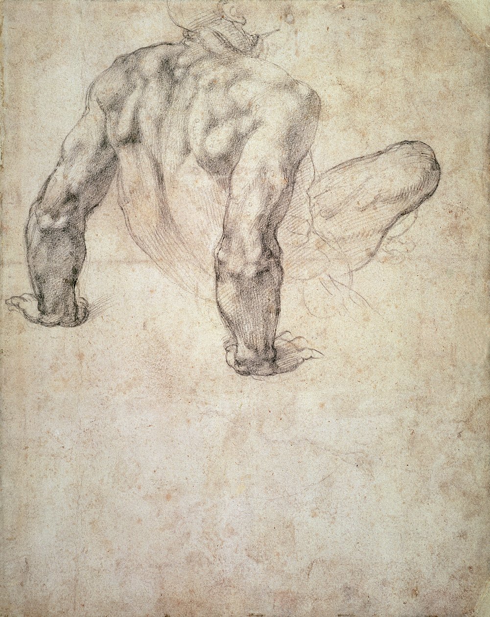 W.63r Estudo de um nu masculino, recostado em suas mãos de Michelangelo Buonarroti
