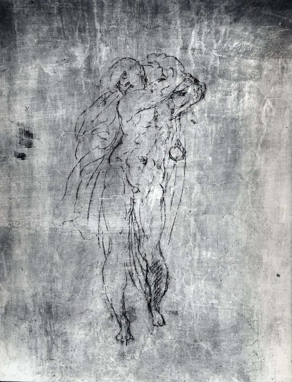 Parede de desenho de uma figura masculina, c.1530 (carvão sobre gesso) de Michelangelo Buonarroti