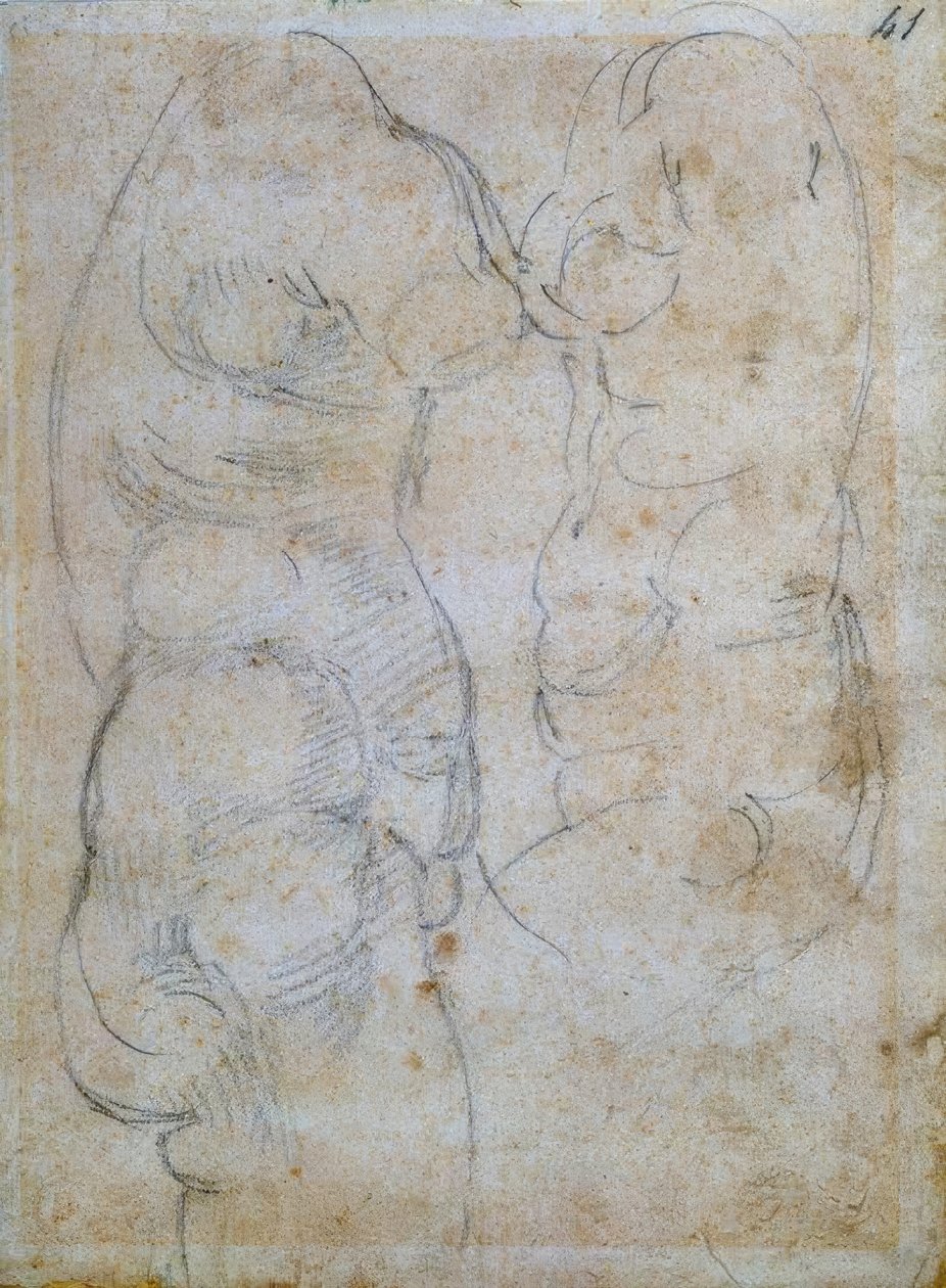 Dois estudos sobre o tronco de uma mulher antiga de Michelangelo Buonarroti