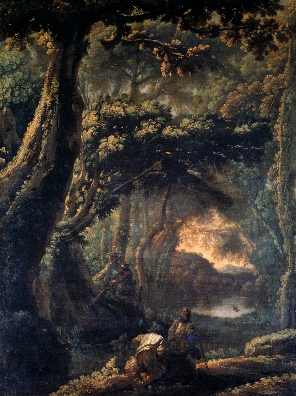 Caça ao Coot, de Michelangelo Cerquozzi conhecido como Michelangelo delle Battaglie (1602-1660), óleo sobre tela, 67x51 cm. de Michelangelo Cerquozzi