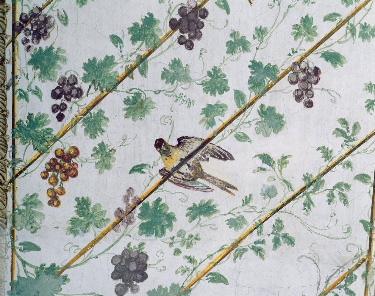 Detalhe da abóbada da adega, foto de Villa Medicea di Careggi de Michelozzo di Bartolommeo