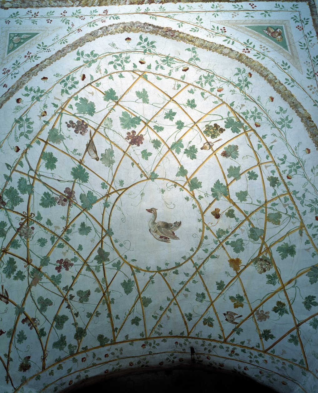 Vista da abóbada da adega, Villa Medicea de Careggi de Michelozzo di Bartolommeo