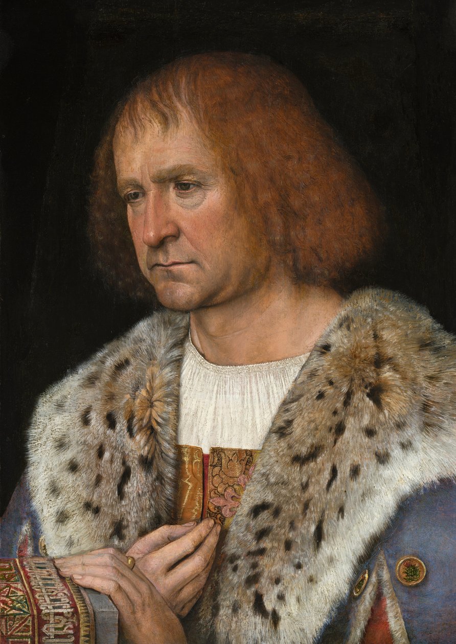 Retrato de Diego de Guevara, 1515-18 de Michiel Sittow