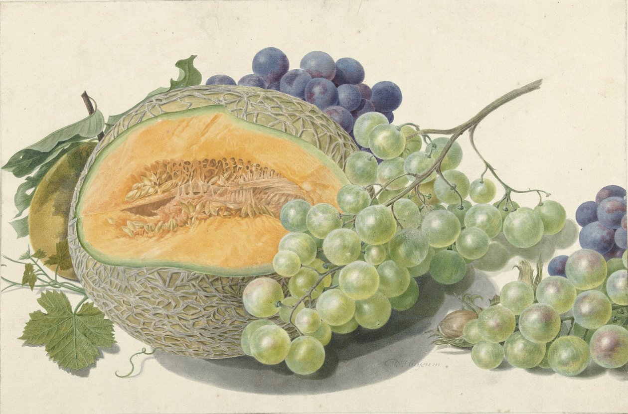 Um melão, cachos de uvas, um pêssego e uma avelã de Michiel Van Huysum