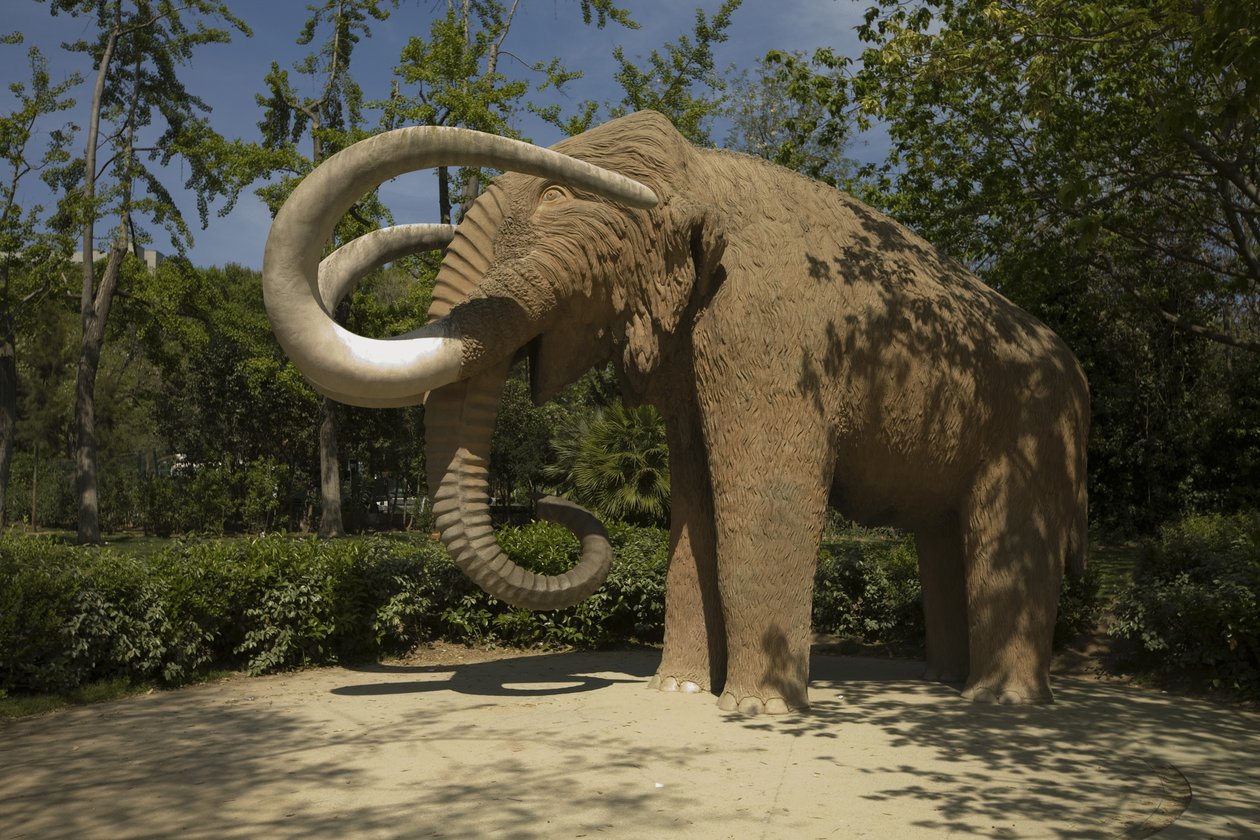 Mamute, 1907 de Miguel Dalmau