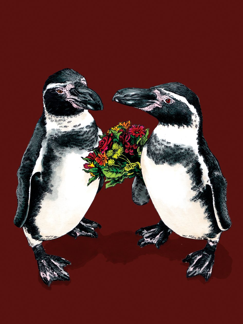 Pinguins de aniversário em Red Oxide, 2020 de Mike Davis