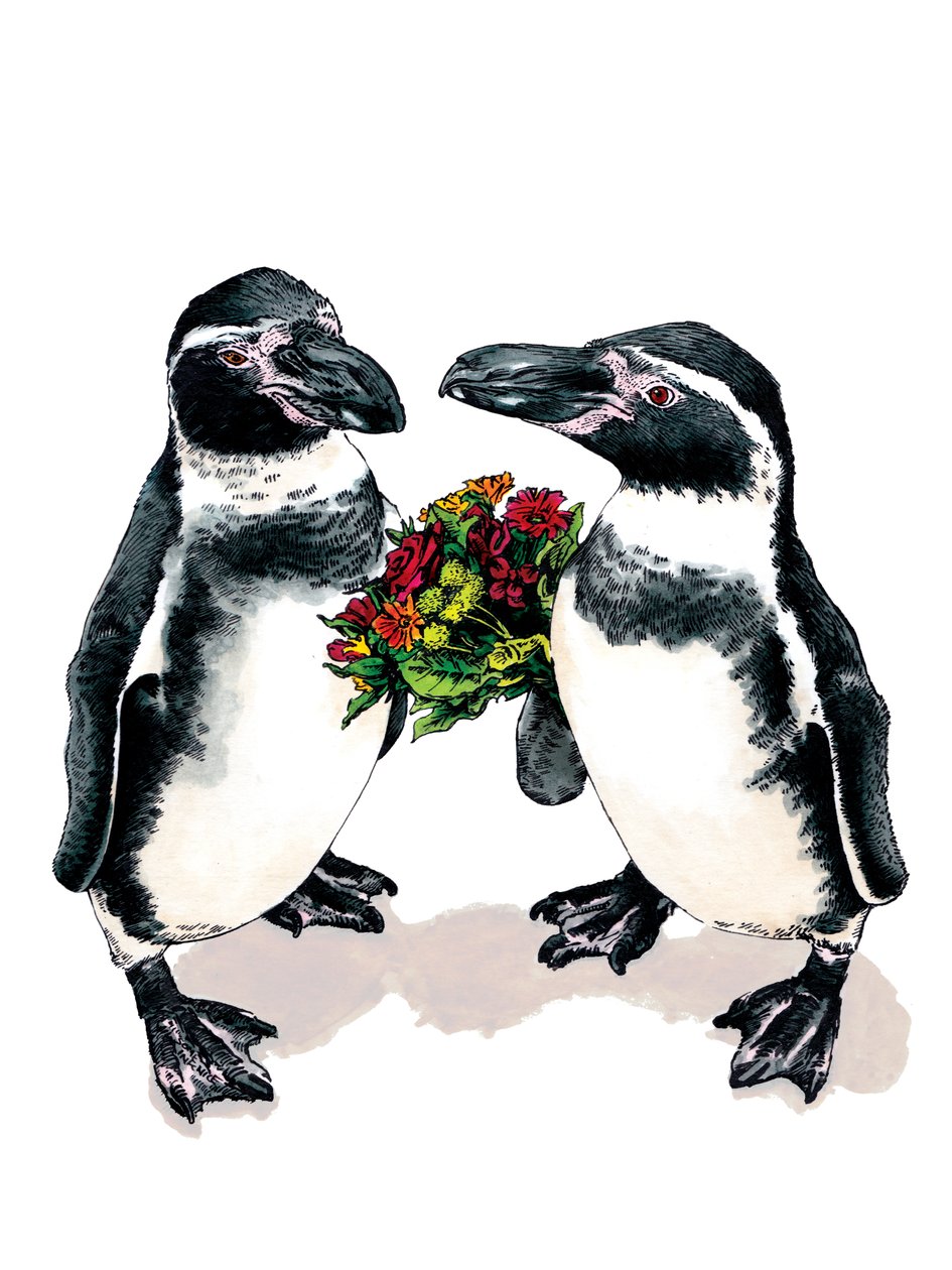 Pinguins de aniversário em branco, 2020 de Mike Davis
