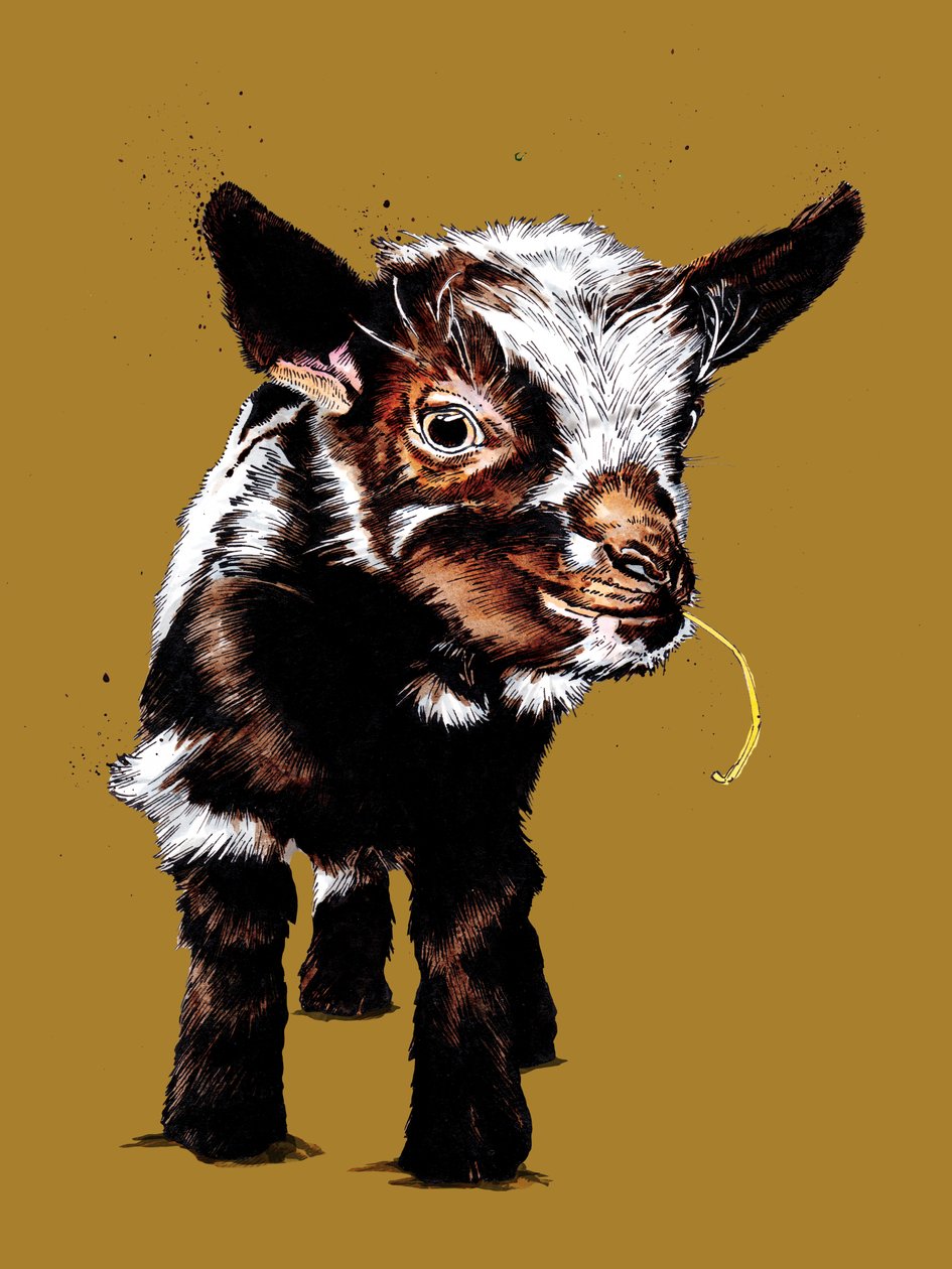 Cabra bebê em amarelo dourado, 2020 de Mike Davis