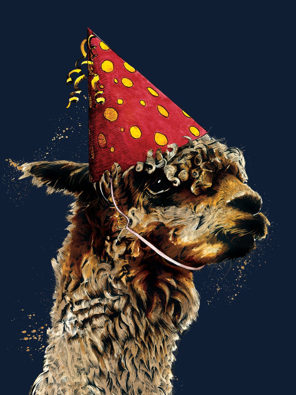 Aniversário da Alpaca no Midnight Blue, 2020 de Mike Davis