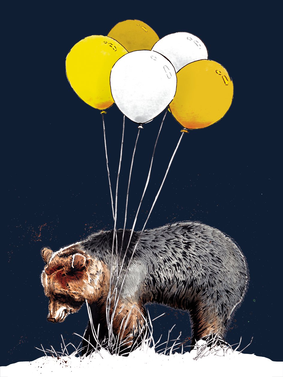 Urso de Aniversário no Midnight Blue, 2020 de Mike Davis