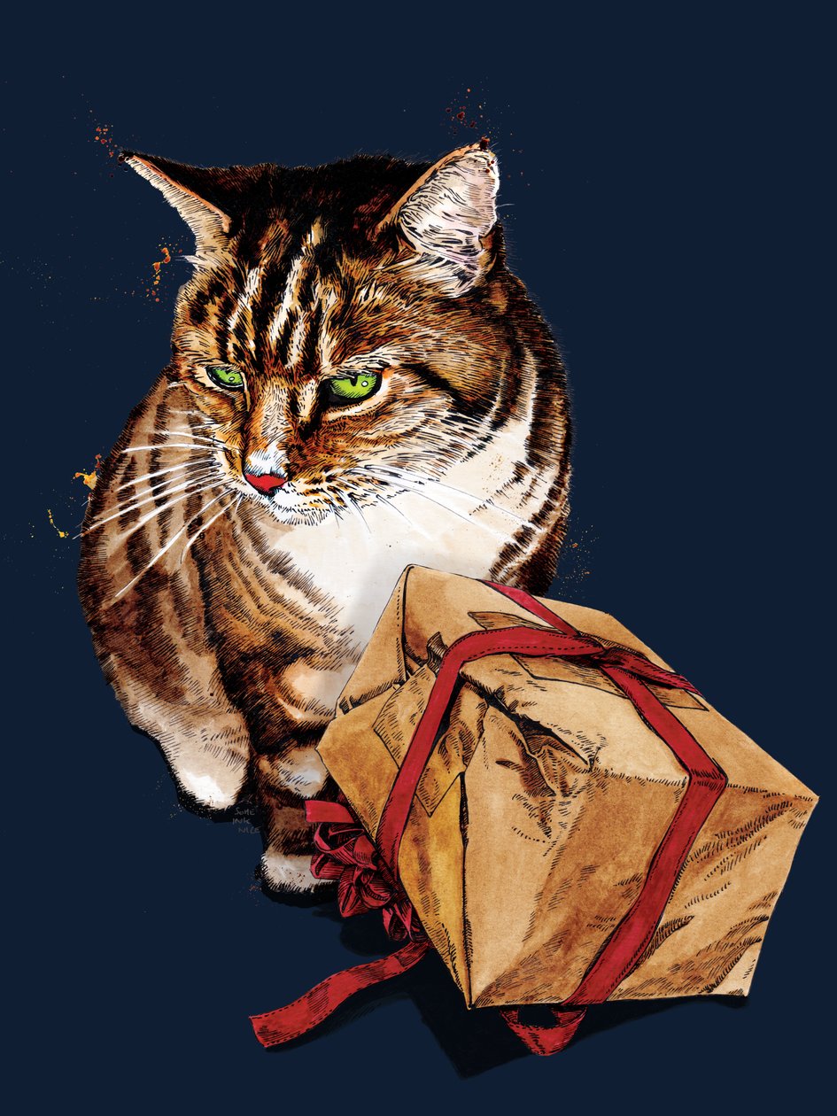 Gato de aniversário no azul da meia-noite, 2020 de Mike Davis
