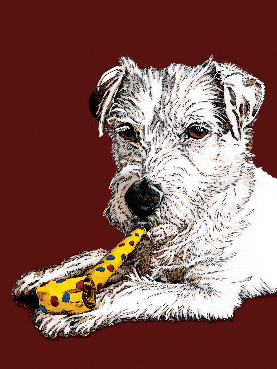 Aniversário Parson Dog em Red Oxide, 2020 de Mike Davis