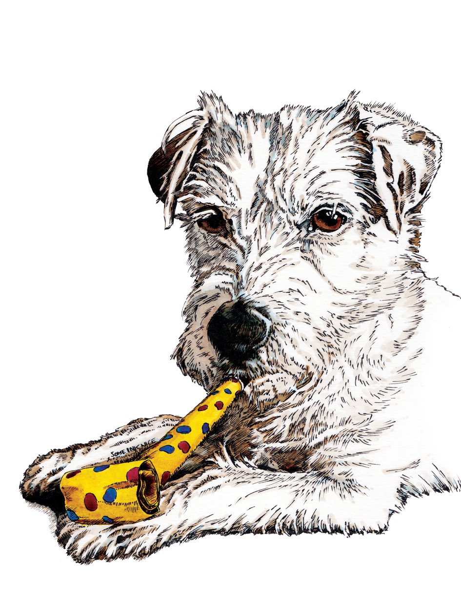Cão Parson de aniversário em branco, 2020 de Mike Davis