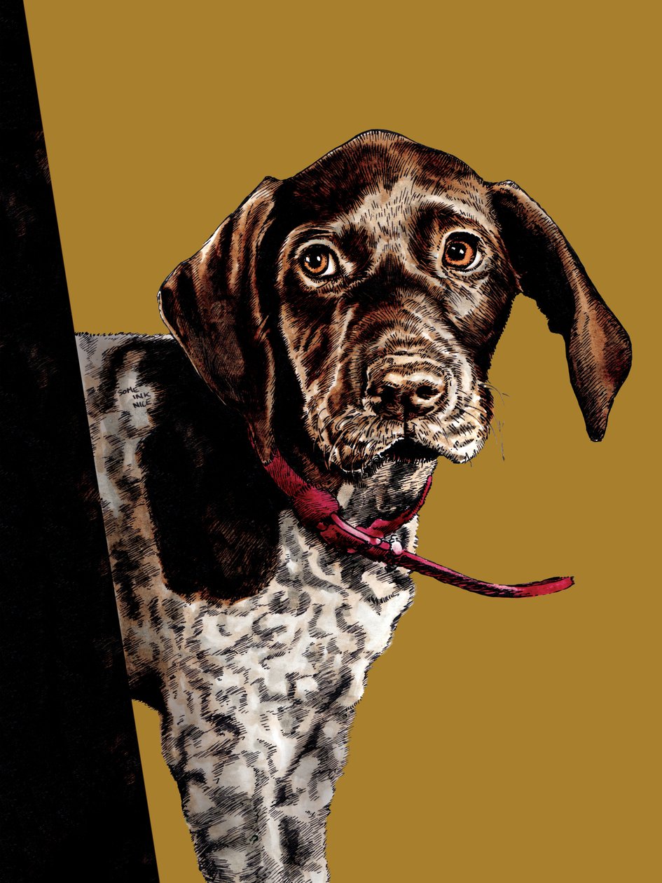 Bye Bye Puppy em Amarelo Dourado, 2020 de Mike Davis