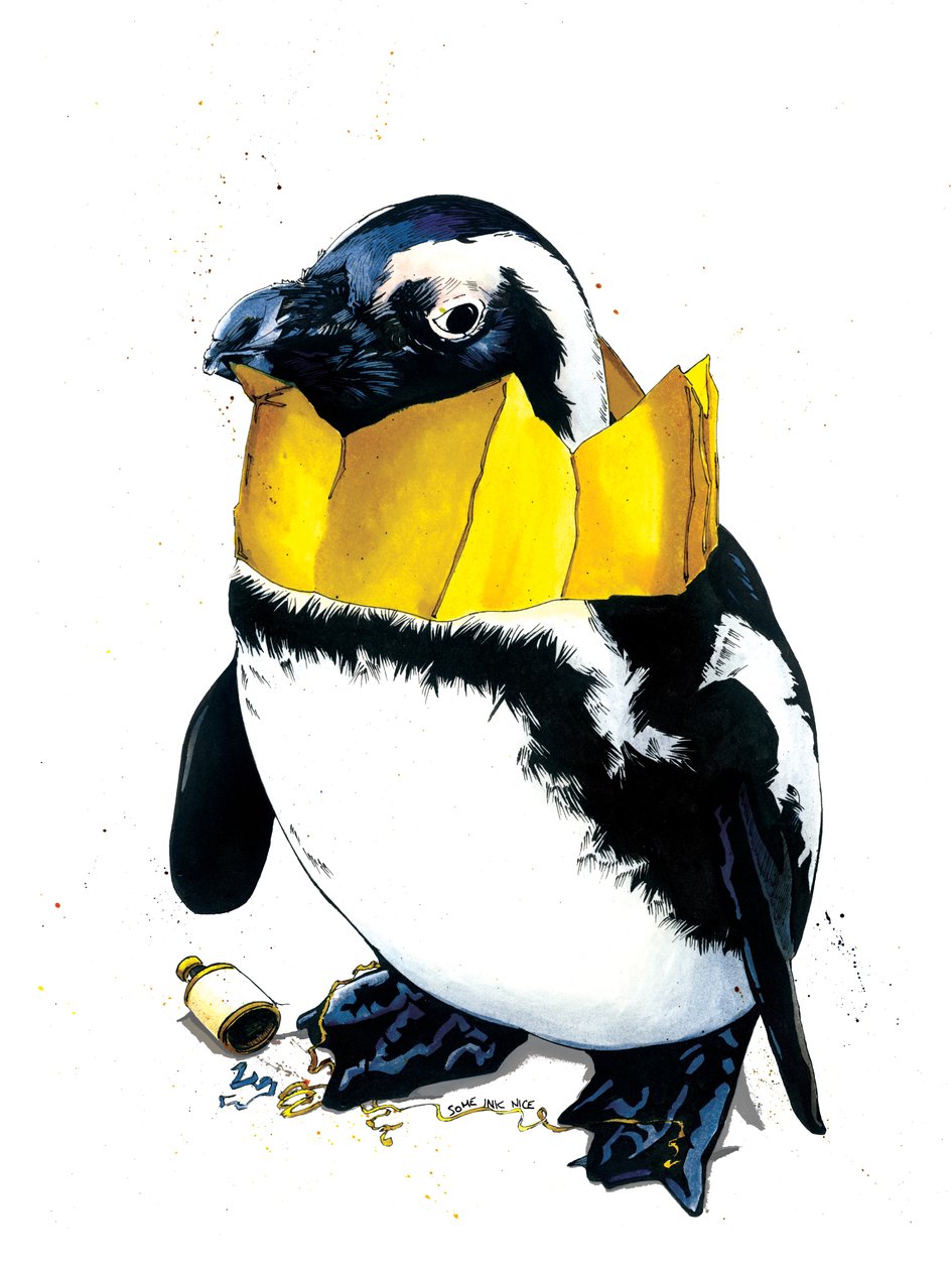 Pinguim de Natal sobre Branco, 2020 de Mike Davis