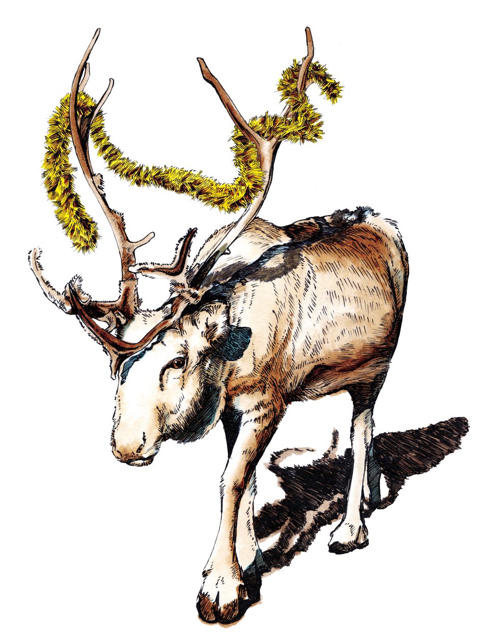 Christmas Reindeer on White, 2020 de Mike Davis