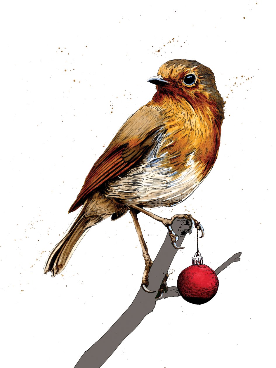Natal Robin em Branco, 2020 de Mike Davis