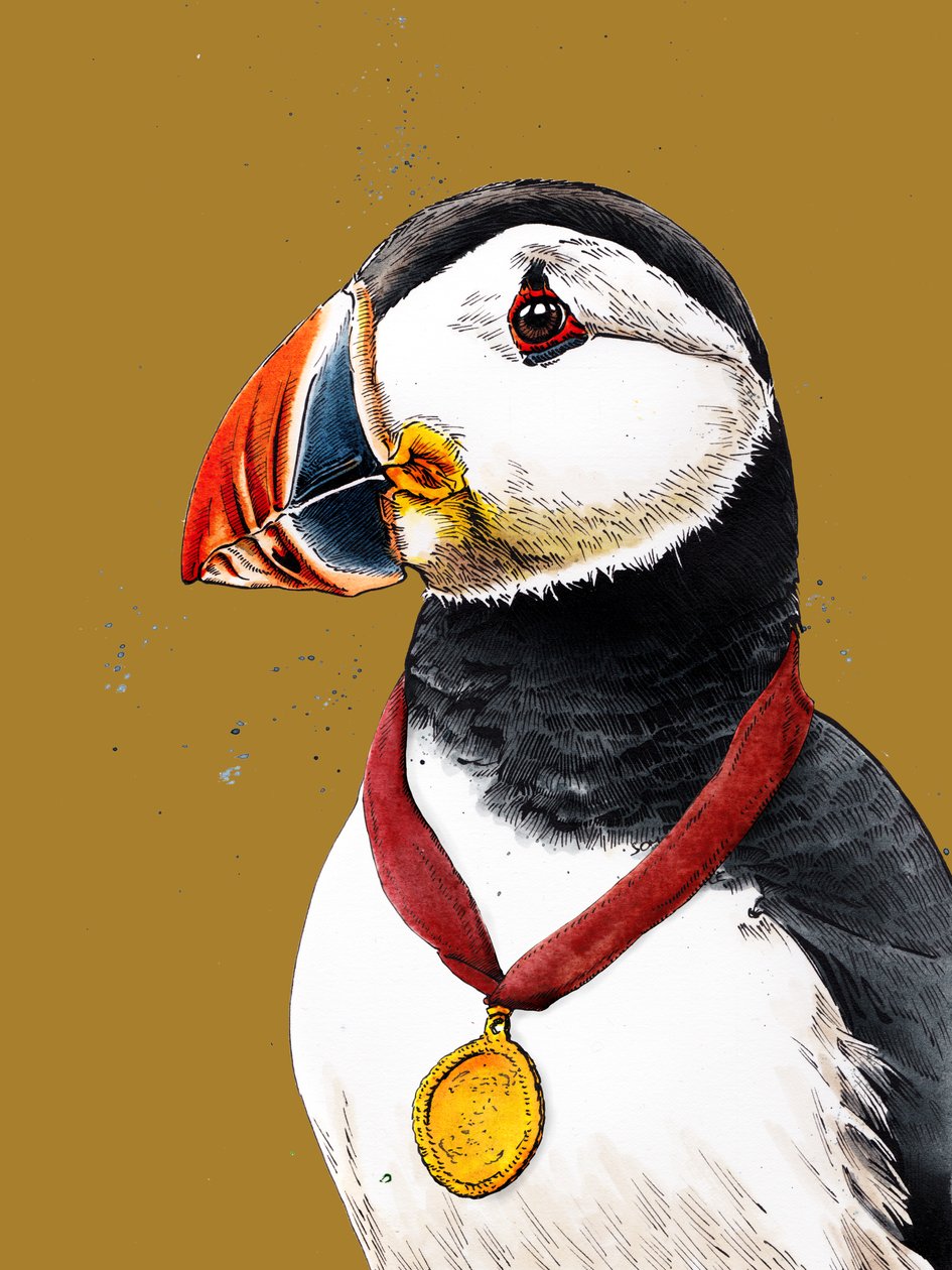Parabéns Puffin pelo Amarelo Dourado, 2020 de Mike Davis