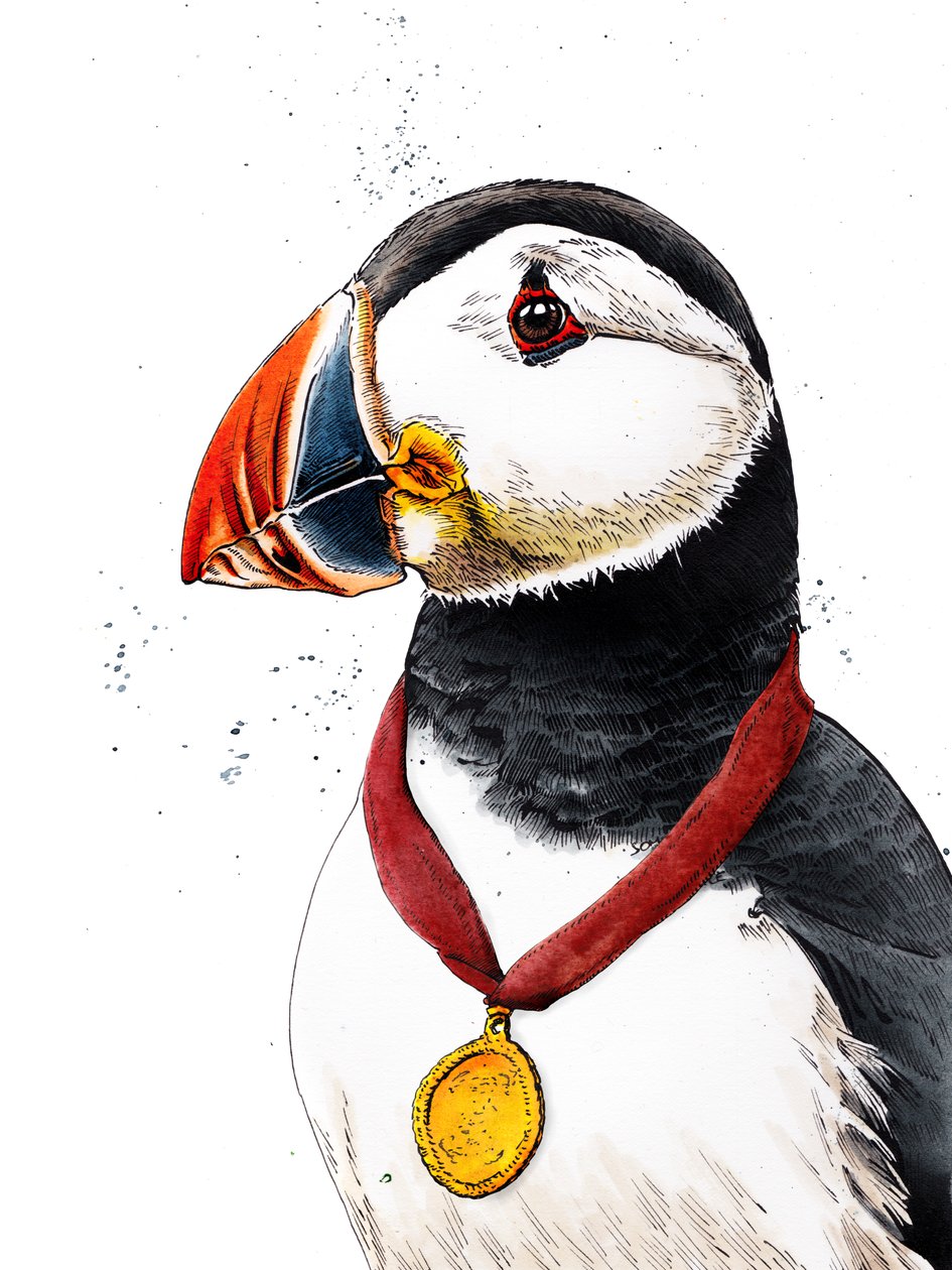 Parabéns Puffin on White, 2020 de Mike Davis