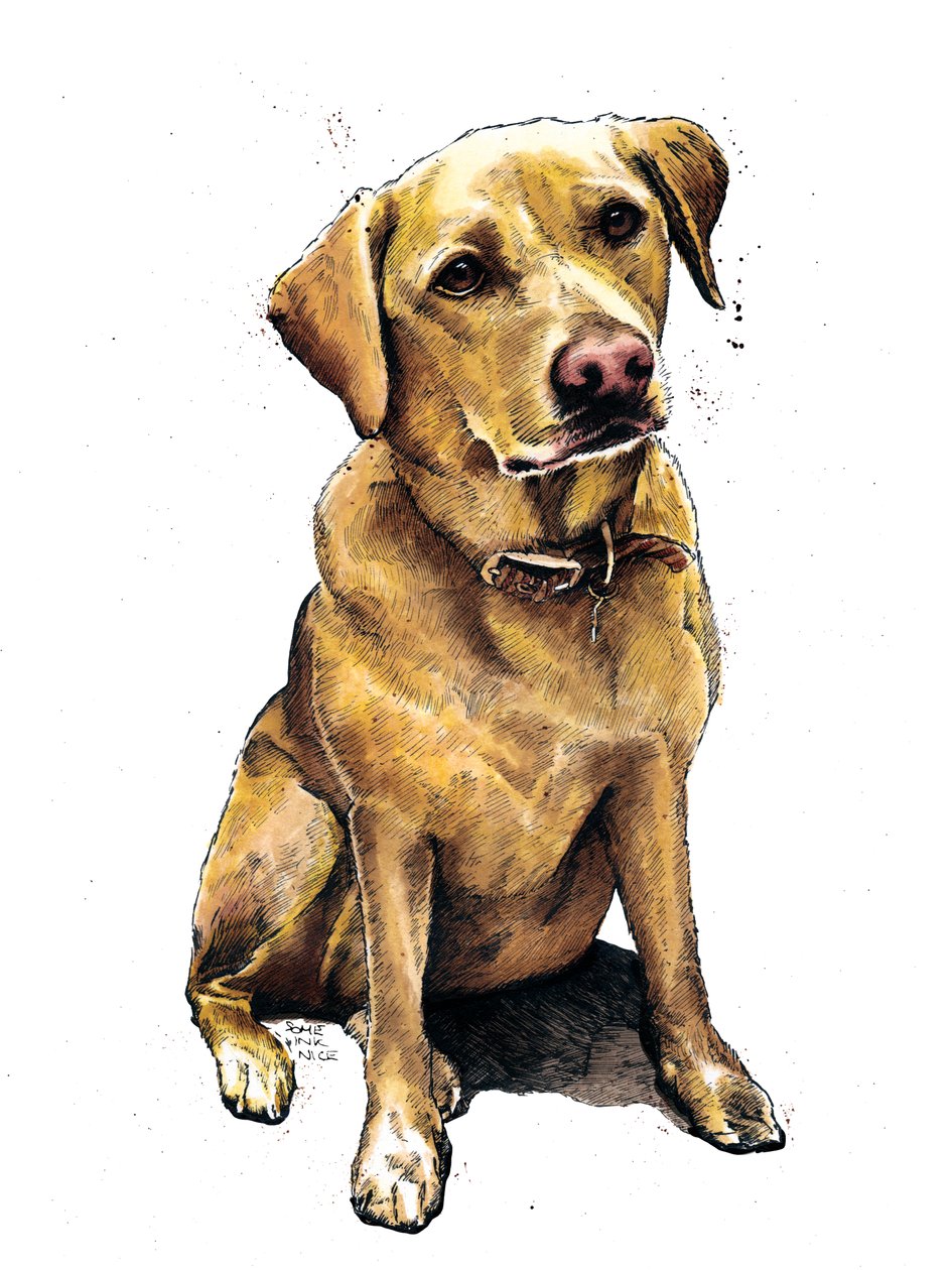 Daisy, a labradora em branco, 2020 de Mike Davis