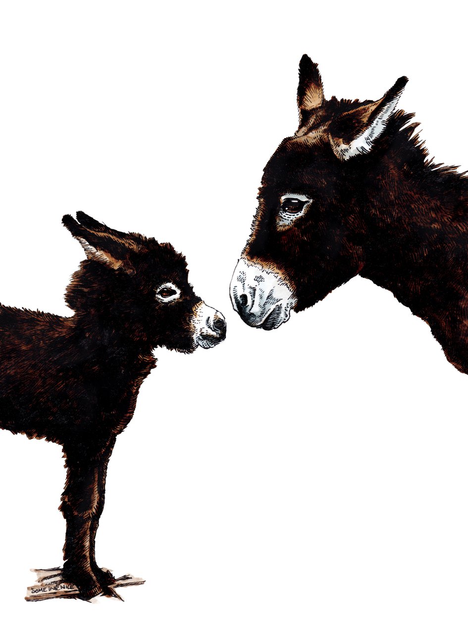 Burro mãe e bebê em branco, 2020 de Mike Davis