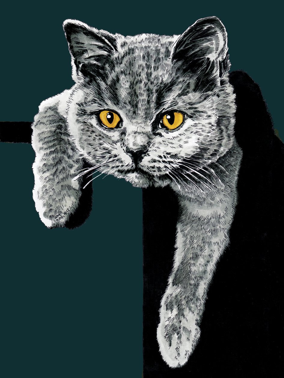 Flora The Kitten on Deep Cyan, 2020 de Mike Davis