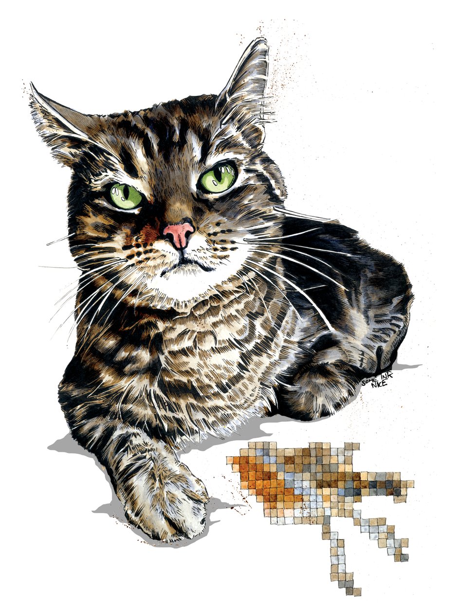 Gift Cat on White, 2020 de Mike Davis