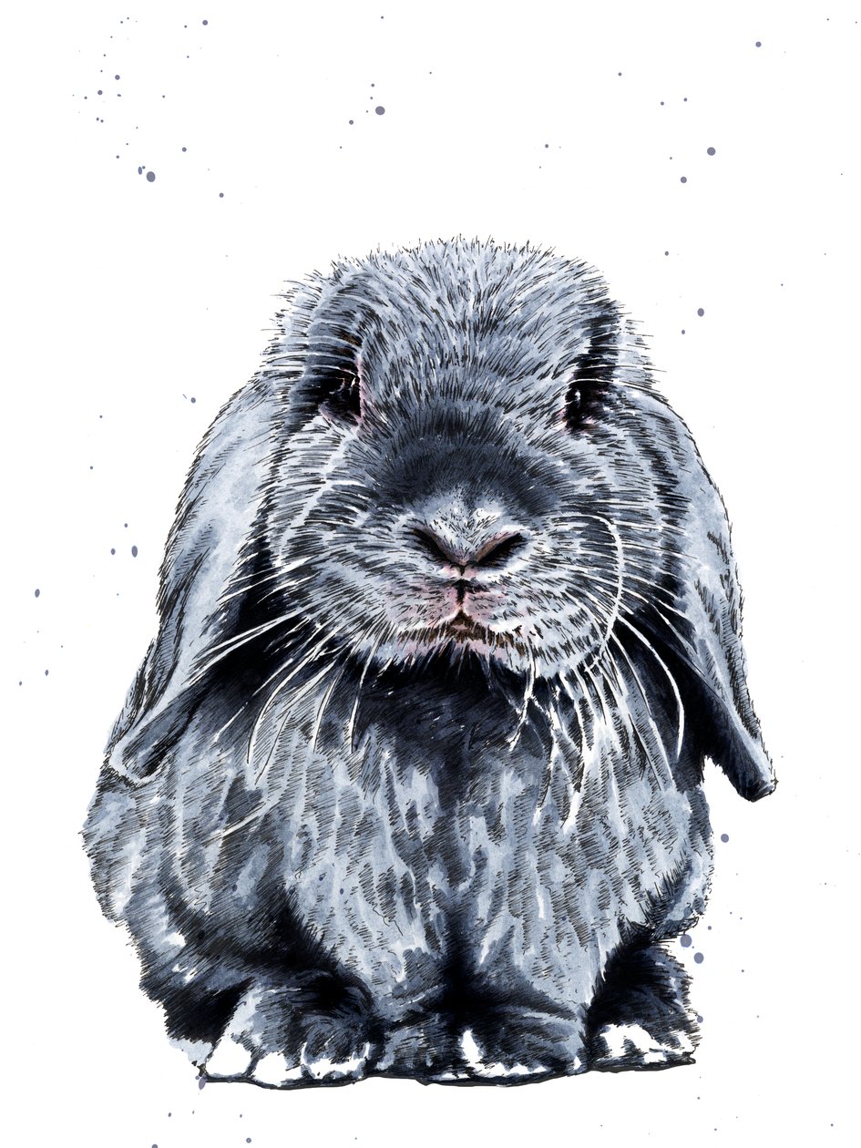 Gray One O Coelho em Branco, 2019 de Mike Davis