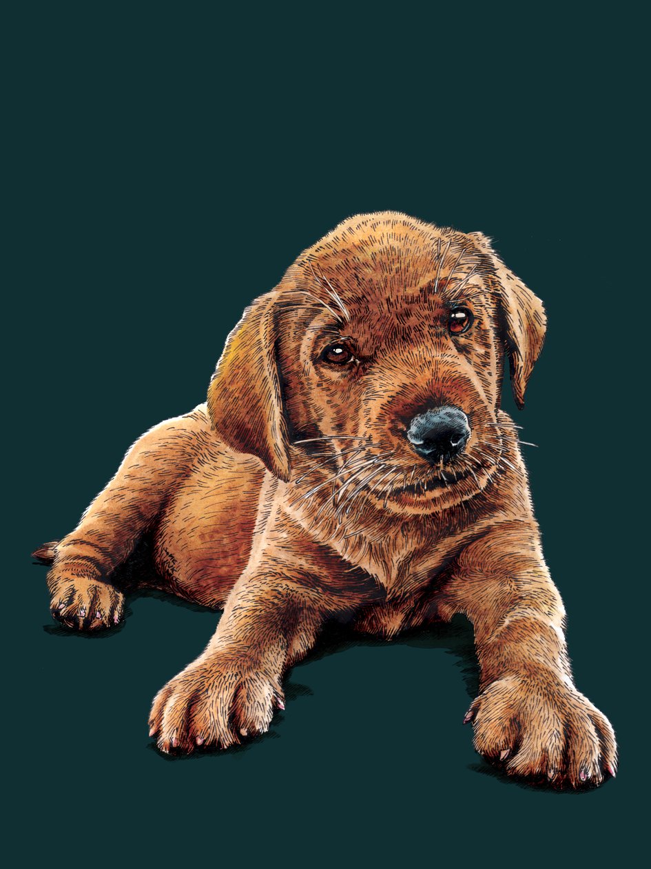 Marge The Puppy em Deep Cyan, 2021 de Mike Davis