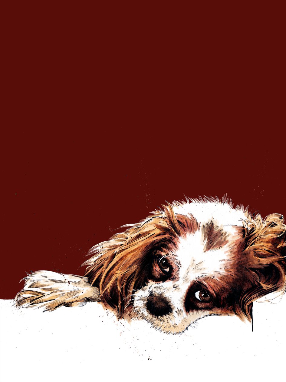 Meg The Spaniel on Red Oxide, 2020 de Mike Davis