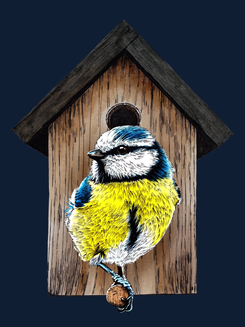 Novo Título Azul para Casa no Azul da Meia-Noite, 2020 de Mike Davis