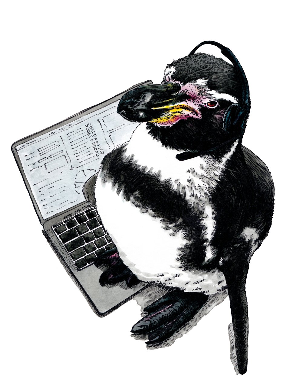Novo trabalho Pinguim em branco, 2020 de Mike Davis