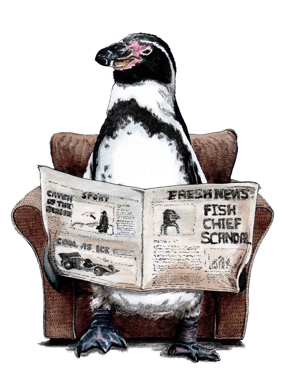 Penguin de aposentadoria em branco, 2020 de Mike Davis