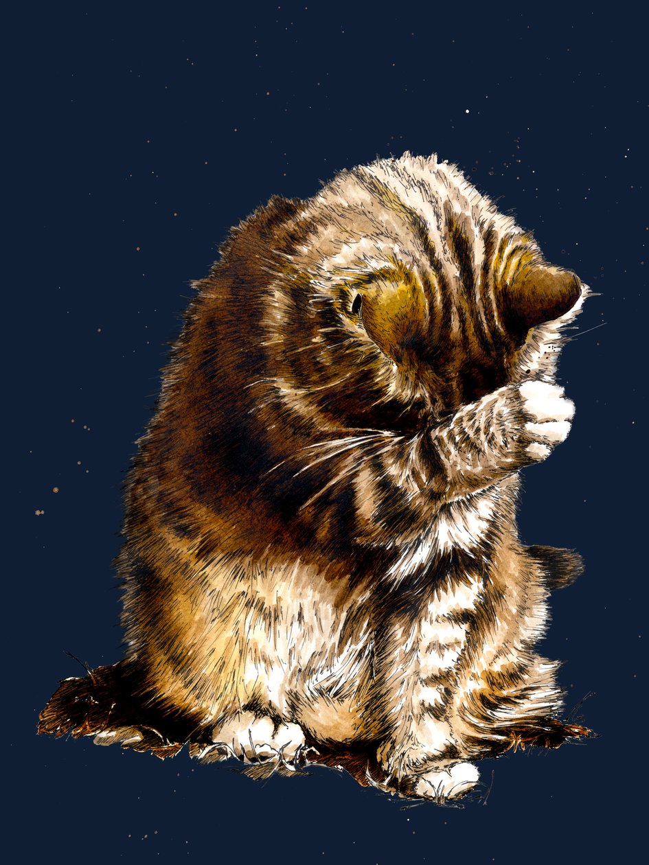 Smallfry The Cat on Midnight Blue, 2020 de Mike Davis