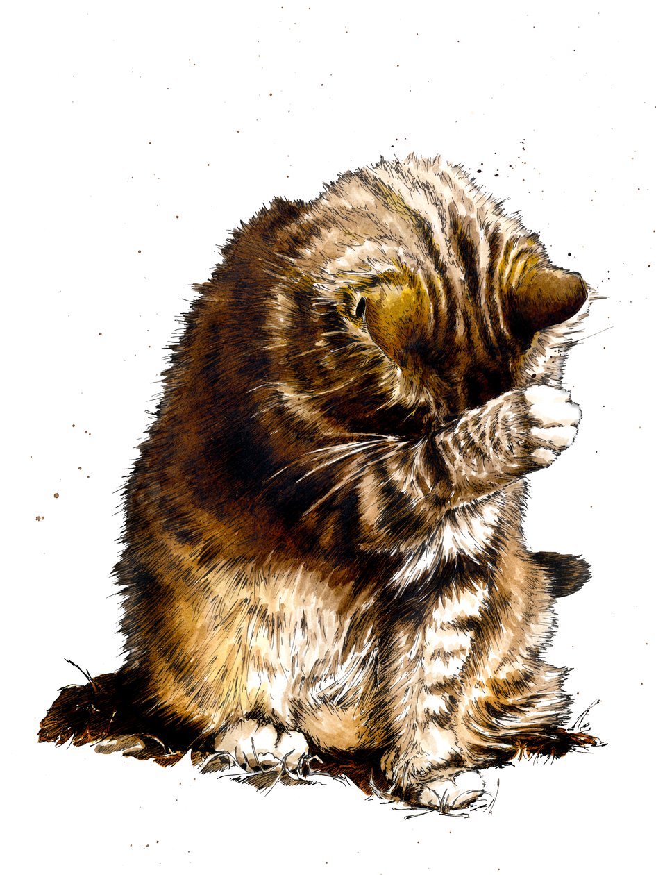 Smallfry The Cat on White, 2019 de Mike Davis