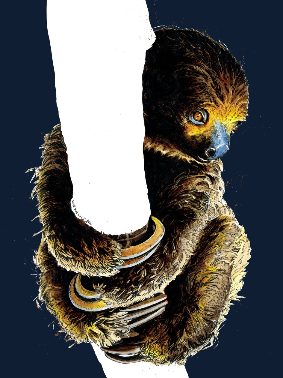 Talita The Sloth on Midnight Blue, 2020 de Mike Davis