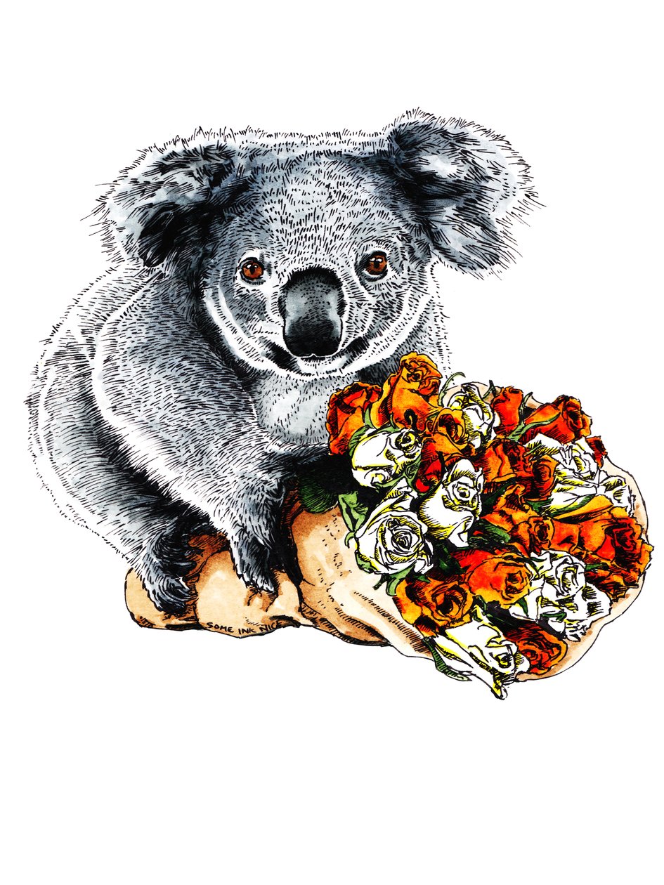 Graças ao Koala on White, 2020 de Mike Davis