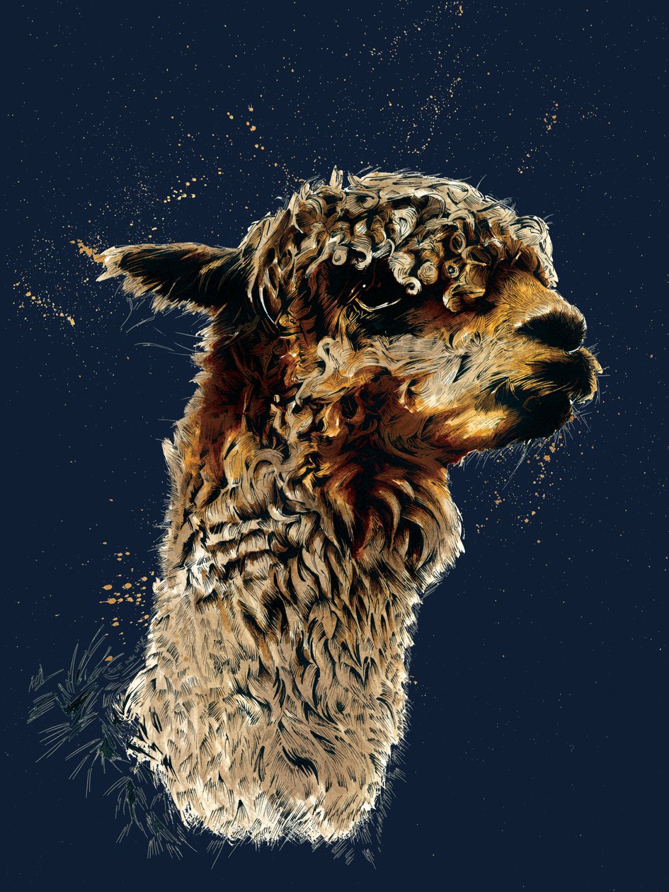 A Alpaca no Midnight Blue, 2020 de Mike Davis
